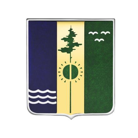 Нагрудный знак, белое и жёлтое золото 585 пробы, н.керамика 1