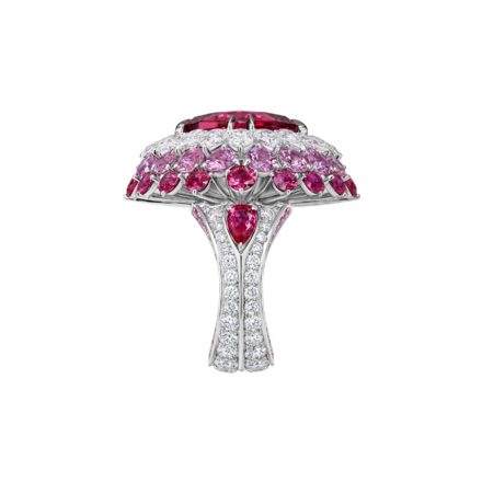 Кольцо с турмалином рубеллитом, рубинами, розовыми сапфирами и бриллиантами, белое золото 4